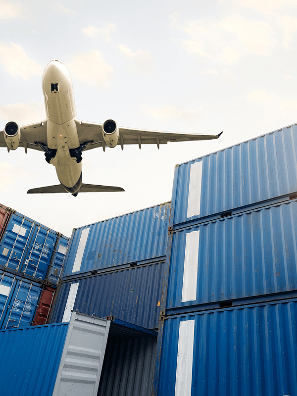 Complex Logistics portrait